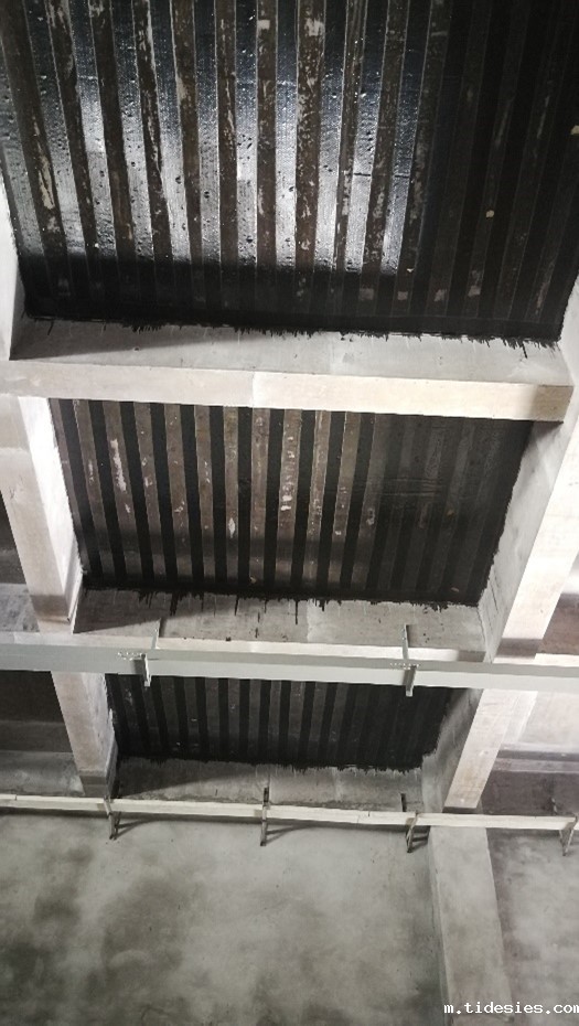 1639555992969663.jpg 1639555992969663.jpg